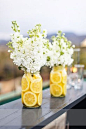 Nice decorations for a summer party or outdoor wedding. White Stock in mason jars filled with sliced lemons. The stock has a beautiful sweet smell that mixes well with the fragrant lemons - love it!