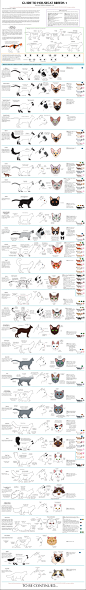 guide_to_housecat_breeds_1_by_cedarseed-d2rmfml.jpg 1,521×10,427 像素