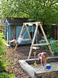 Swings and sandpit - part of a family garden featured on intoGardens (into-gardens.com):