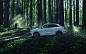 Audi Q3 in a Redwood Forest : Audi Q3 in a Redwood Forest. Photographed for Audi USA social media channels.