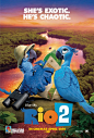 Rio 2 Movie Poster #3 - Internet Movie Poster Awards Gallery