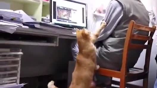 0878bf5f357b4be12f2bd745e864d67b0a40a81d4172-3Rchhj