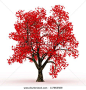 isolated fall trees - Google Search: 