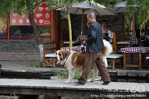 云南之行 旅游篇 第六天（下）：丽江束河...