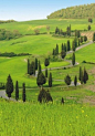 How about taking a tour of Tuscany?----托斯卡纳
