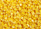 新鲜的玉米粮食特写高清图片