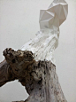 White polyhedric plaster sculpture on a tree trunk                                                                                                                                                                                 More