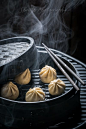 Hot Chinese Dumplings in Dark