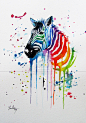 Zebra Splash by fiona-clarkeART插画