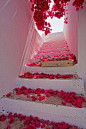 一条通向浪漫的阶梯