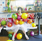 小野恵令奈(Ono Erena) -《Say！！いっぱい》单曲(初回限定盤A+B+C)[MP3]