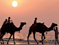 全球11处绝美日落 - 中国名城网【迪拜阿拉伯联合酋长国】在迪拜，骑着骆驼欣赏这沙漠中的落日，是非常激动人心的。沙丘，蹒跚的步态和迪拜遥远的地平线绘出了这幅阿拉伯日落。在豪华的丽嘉酒店游客还可以欣赏到夕阳下美丽的朱美拉海滩。 

