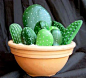 Cactus rocks.: 