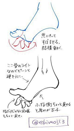 罐装猫粮catin采集到教程