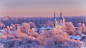 frosty morning by Aleksey Nazarov on 500px