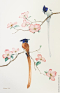 Купить Акварель Цветы и птицы Рис. 2 - акварель, картина акварелью, интерьерная картина: 