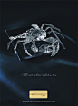 Laidbackwaters: Crab