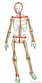 人体三线骨架体块归纳 ​​​​
