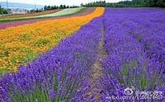 小雅在私念采集到背包去旅游。