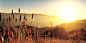 Sunrise Landscapes Twitter Cover & Twitter Background | TwitrCovers