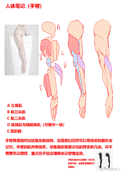 wld111采集到绘画基础