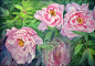 Krzysztof Kowalski 自然花卉作品欣赏 花 艺术 自然 清新 水彩 手绘 唯美 