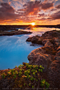 Blue Lagoon, Iceland in Summertime!