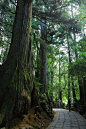 Koya-san, Japan 