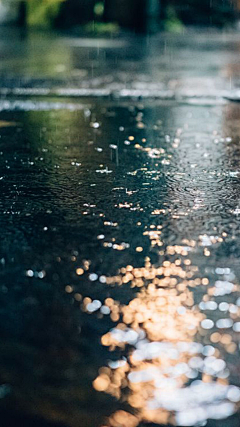 倾婷1004采集到雨天是世界用水写的一首诗