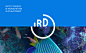 IRD - Brand design : [FR] IRD, Institut Français de recherche pour le développementL'Institut de recherche pour le développement (IRD) a pour mission de faire progresser le développement durable et humain à travers la recherche scientifique et technique. 
