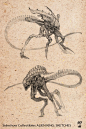 ALIEN KING sketches I did for Sideshow Collectibles, Amilcar Aldana Fong : ALIEN THEME IS SO MUCH FUN! Pencil on paper.