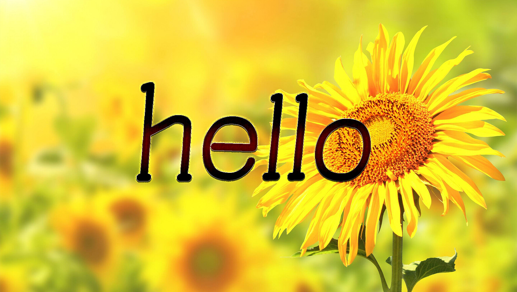 0965d8435cafb9fa7cd92f54c91831d54f156d0261819-F8XMJu