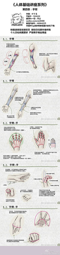 琦天大胜采集到绘画教程