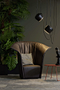 The Philodendron : Without plants our furniture would be lonely