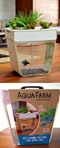 Aqua Farm Self Cleaning Fish Tank: 