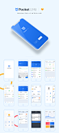 手机iOS 应用程序的设计 UI套件 Pocket UI Kit - pic_005.png