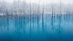 honghui采集到北风其凉，雨雪其雱