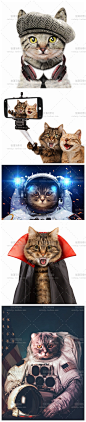 [gq66]25张趣味可爱搞笑创意猫咪宠物网站PS设计高清图片素材-淘宝网