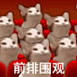 前排围观（POPO猫表情包） - POPO猫 GIF 动图表情包-发表情