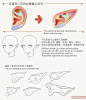 超详尽耳朵画法指导，附赠精灵耳教学！｜电绘狂教程第5回
