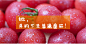 两鲜 FreshFresh.com | 本地樱桃小番茄 - 新鲜水果