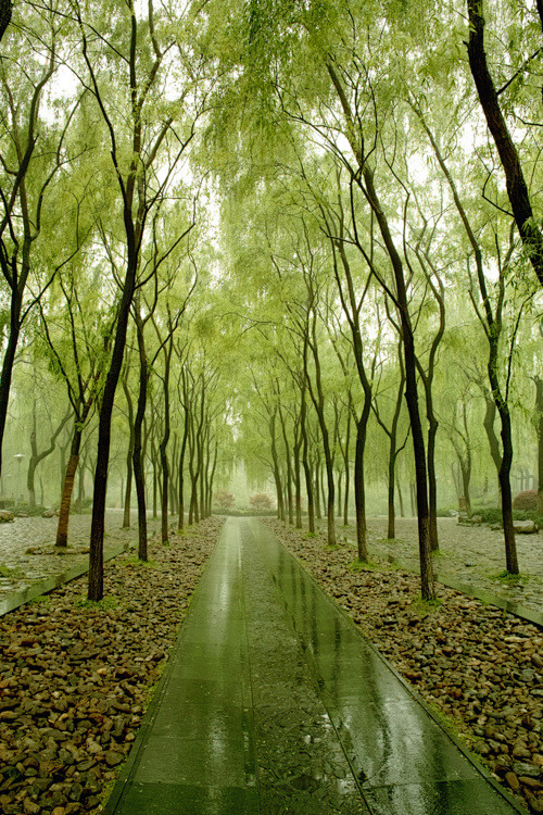 【创意景观水景设计图集下载】静水跌水叠水...