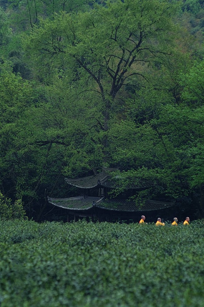 深山藏古寺