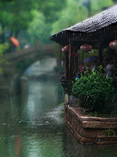 叶踏小雨采集到人在旅途，旅途中国，美在江南