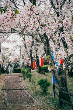 海的守护神采集到旅行