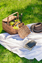 柳条野餐篮，水果和葡萄酒，帽子和笔记本和铅笔在公园