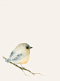 #水彩# Tiny Lost Bird by Catherina Turk