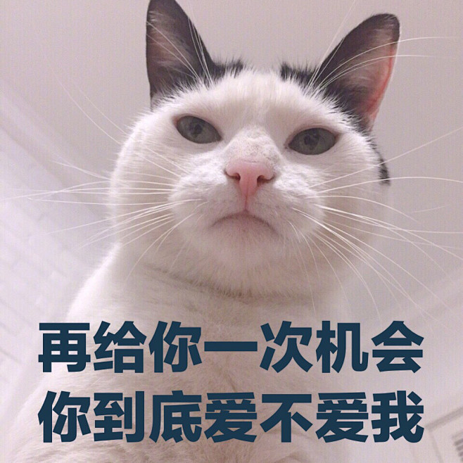 表情包