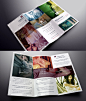 Simple Tri Fold Brochure Template | Brochure Templates | Pixeden