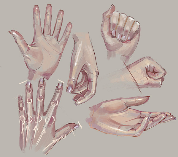 Hands study 2 by ~So...